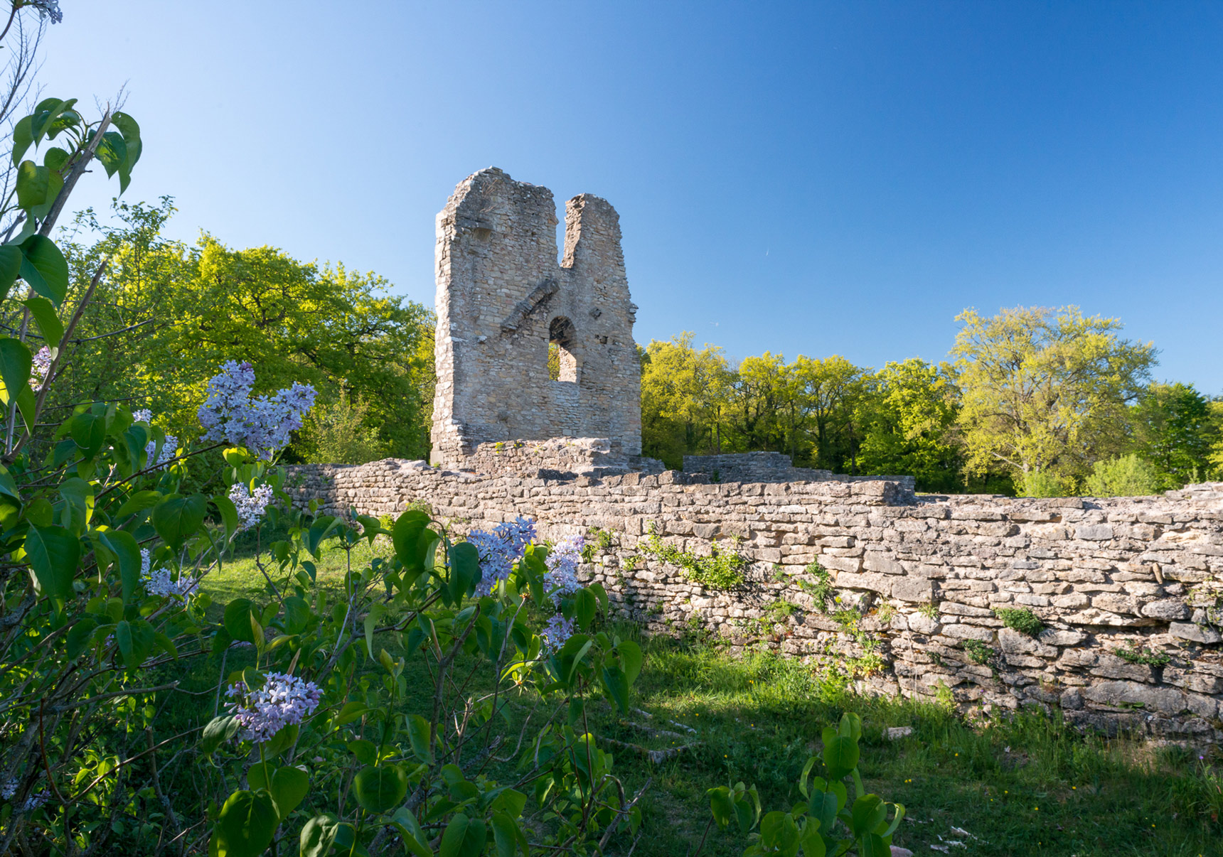 Site archéologique mérovingien à Châtel-Saint-Germain © Denis FOGELGESANG
